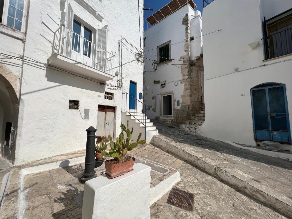 Zinzu - By Tripostuni Villa Exterior foto